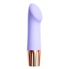 Bullet Vibrators 